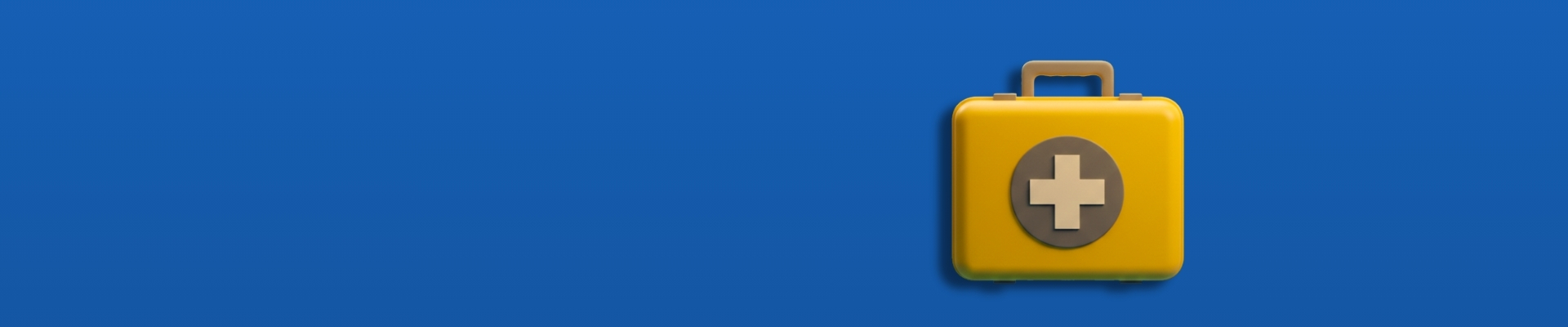 HSS banner